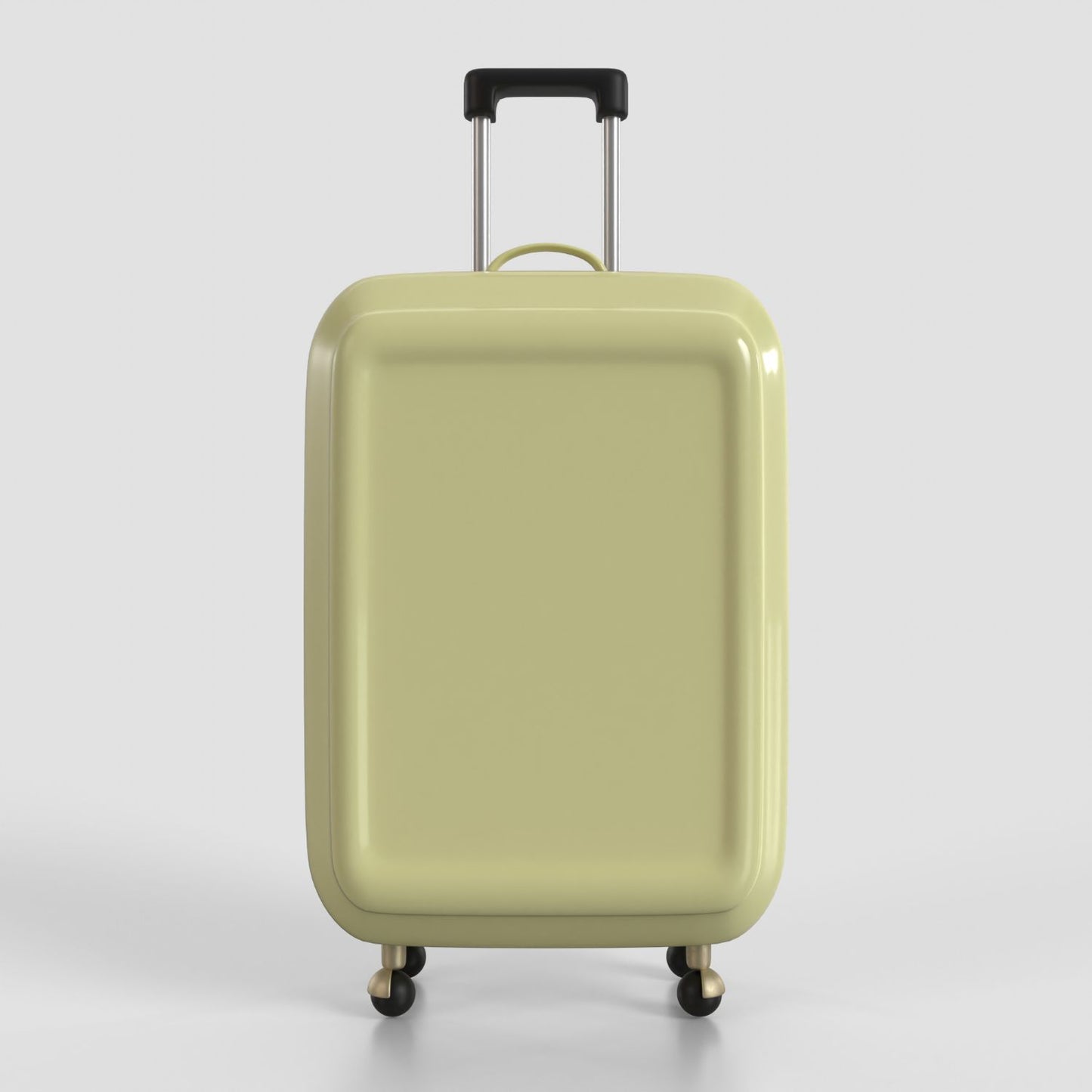 Custom Luggage 229